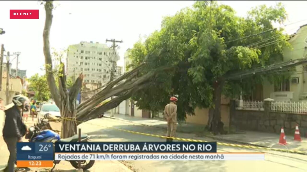 RJ1 de terça, 1º de setembro de 2026