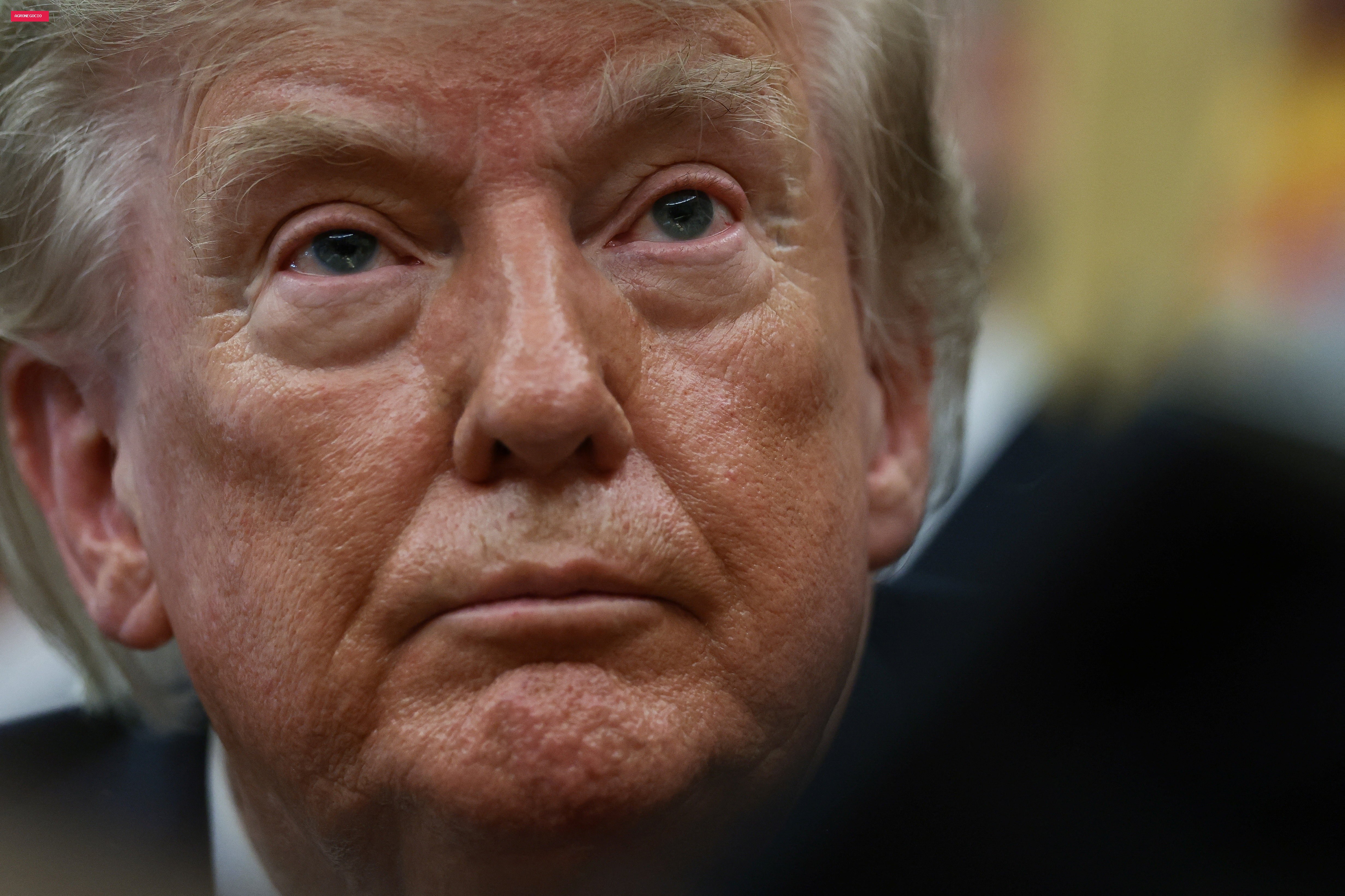 Trump posta mensagem de senador dos EUA que diz que agricultores brasileiros pagam menos por sementes de