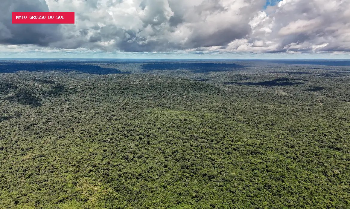 Amazonas cria quatro reservas e amplia proteção ambiental em 669 mil hectares