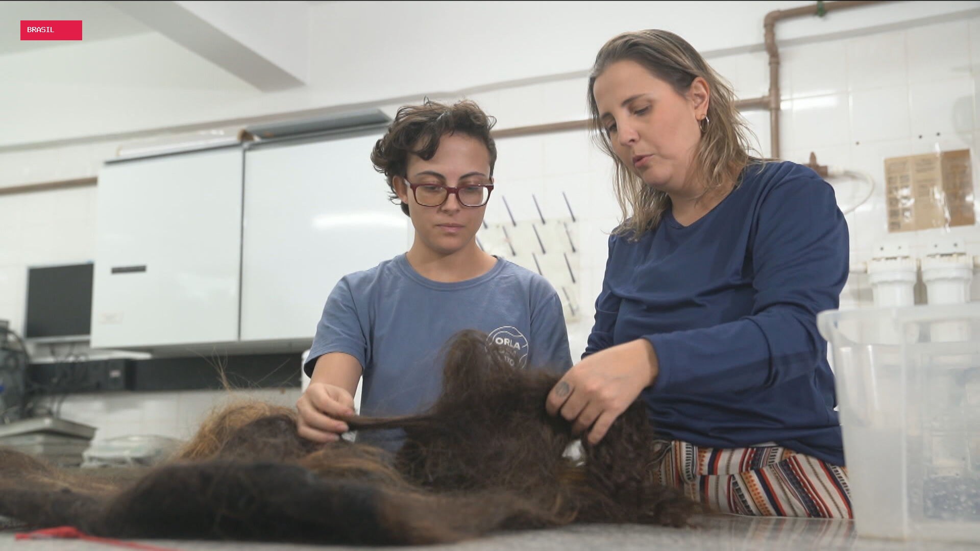 Projeto usa cabelos descartados por salões para ajudar na despoluição da Baía de Guanabara