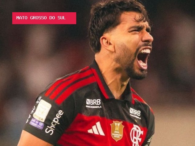 Flamengo vence no fim e retoma liderança do Campeonato Brasileiro