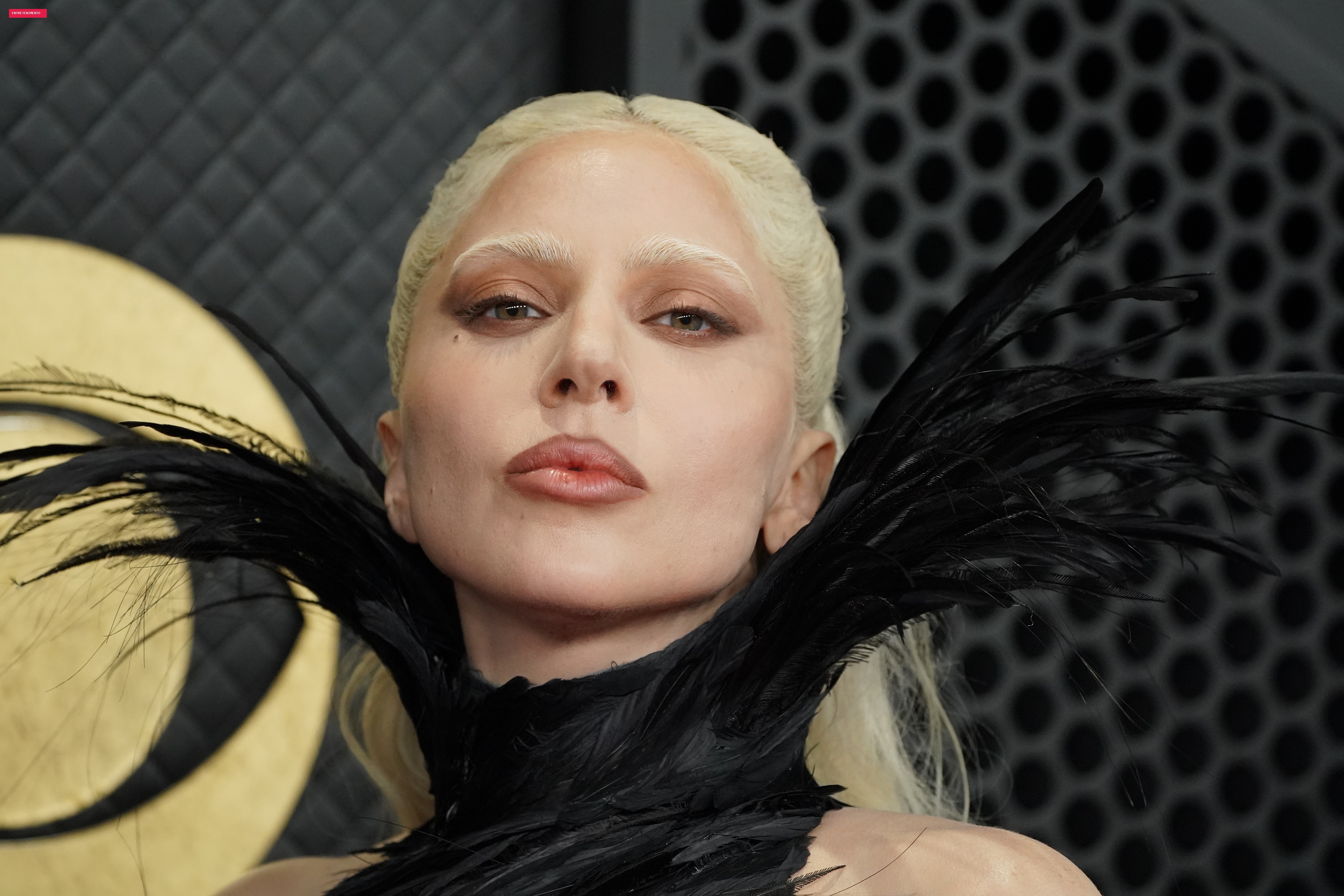 Lady Gaga e Michael Polansky são pais de uma menina, diz site