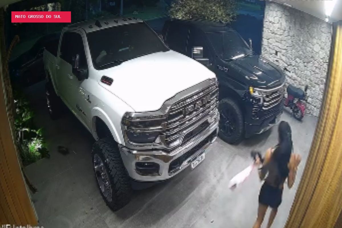 Ana Castela leva susto com gambá na garagem e sai correndo: 'Ia ficar com minha casa'