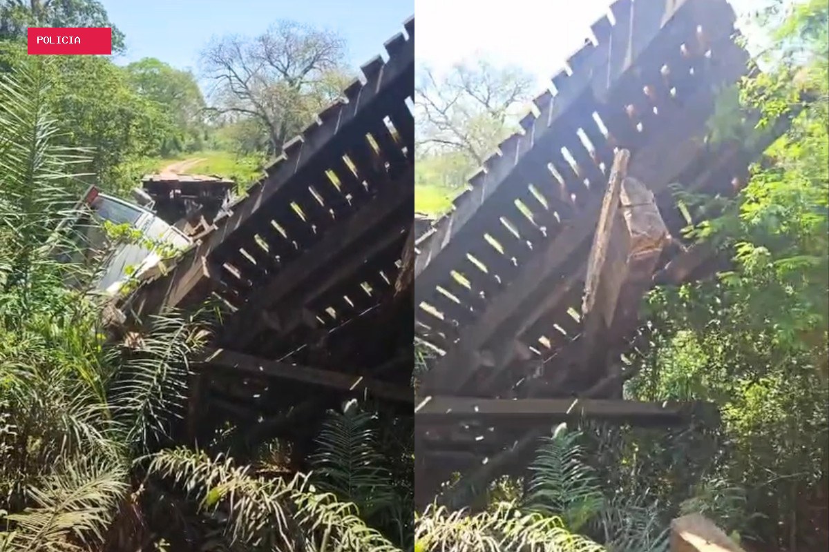 Ponte cai durante passagem de caminhão com bois e 8 animais morrem em Bonito