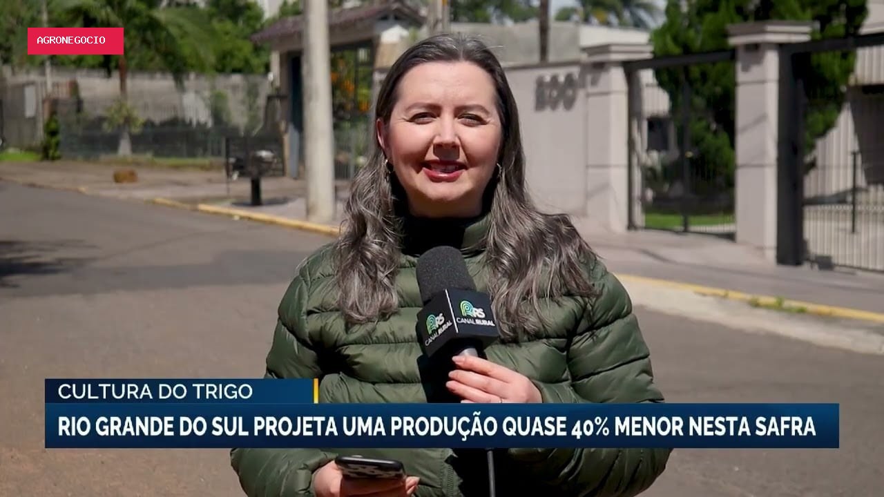 Rio Grande do Sul projeta queda de 40% na produção de trigo nesta safra