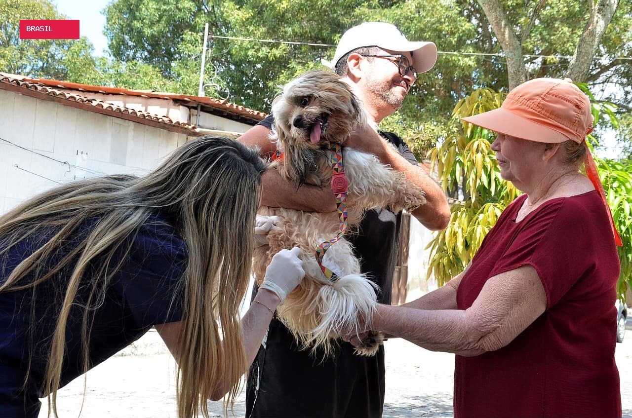 Segundo ‘Dia D’ de vacinação antirrábica acontece neste sábado (12) em Campina Grande