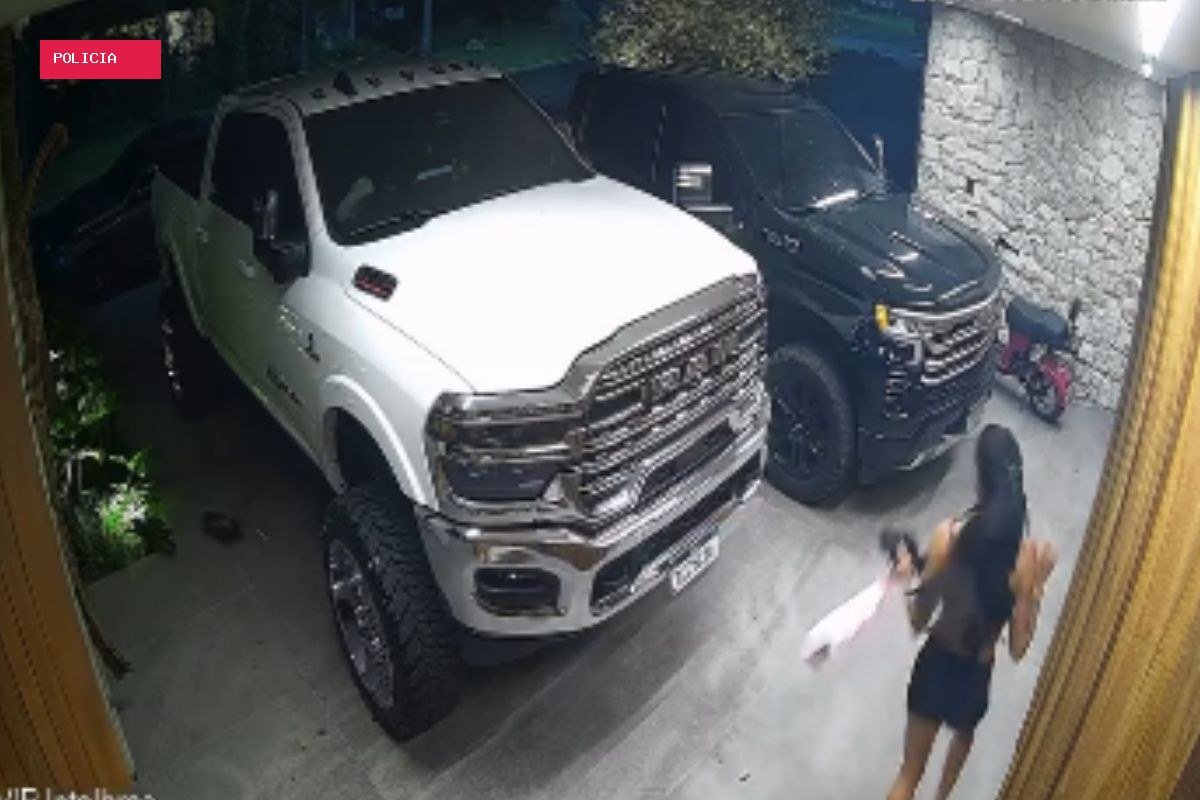 Ana Castela leva susto com gambá na garagem e sai correndo; câmeras flagraram tudo