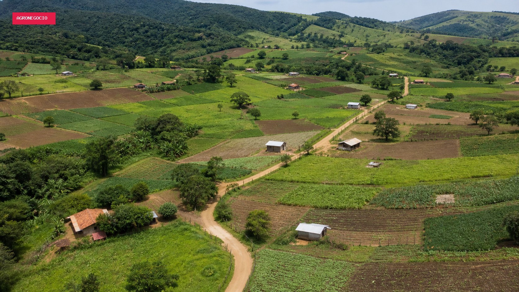 Ato em Belo Horizonte reúne MST e MDA para agenda sobre reforma agrária em Minas