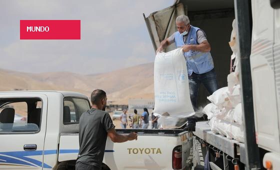 Cisjordânia: falta de recursos reduz ajuda alimentar da ONU pela metade