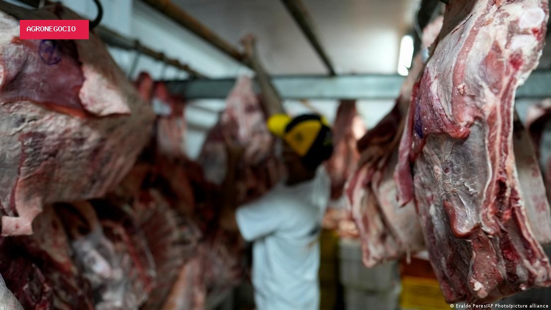 Brasil pode ficar com até 40% da nova cota de importação de carne bovina dos EUA