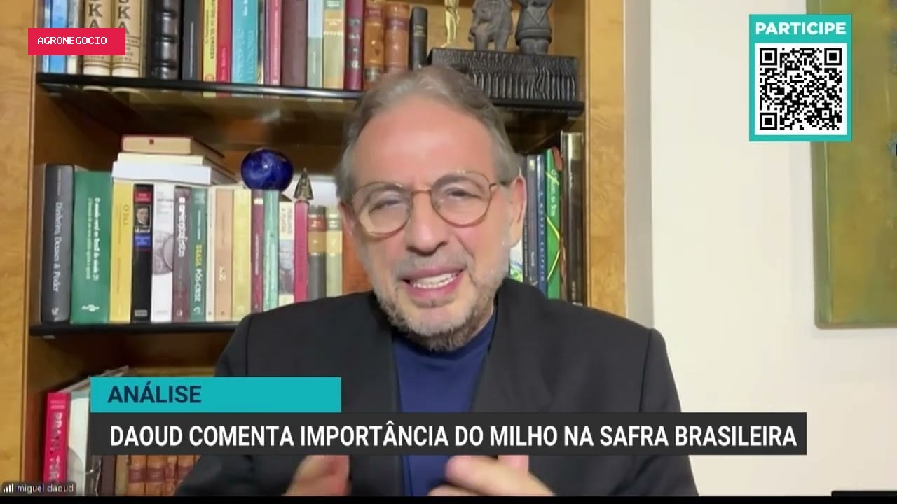 Desafios e avanços da produção de milho no Brasil em 2023