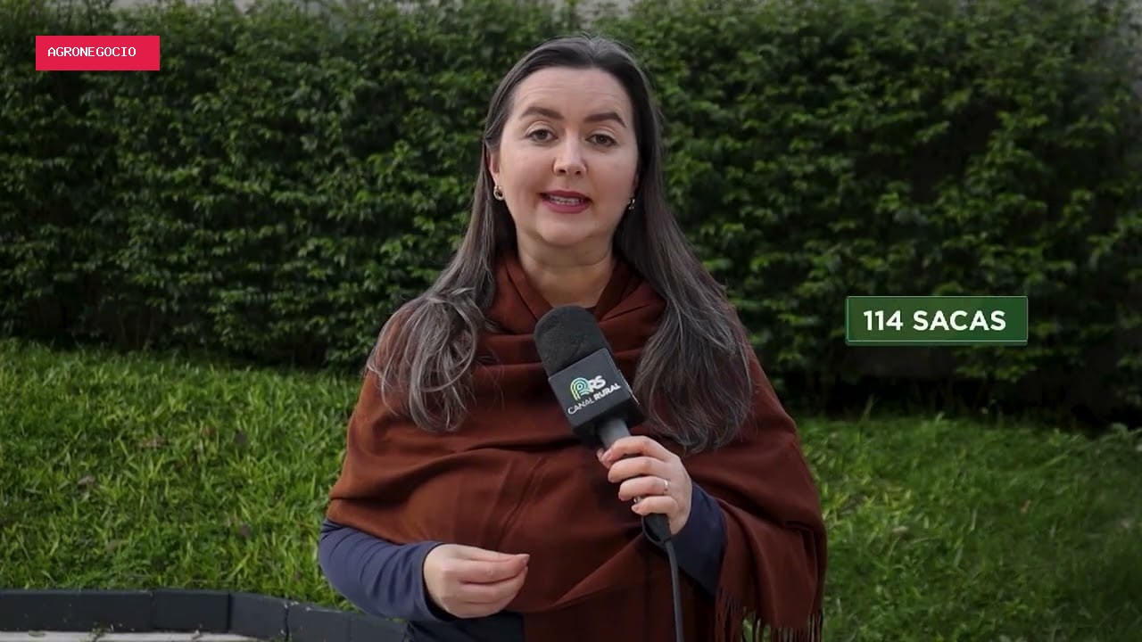 Escolha da cultivar de soja impacta rentabilidade no Rio Grande do Sul