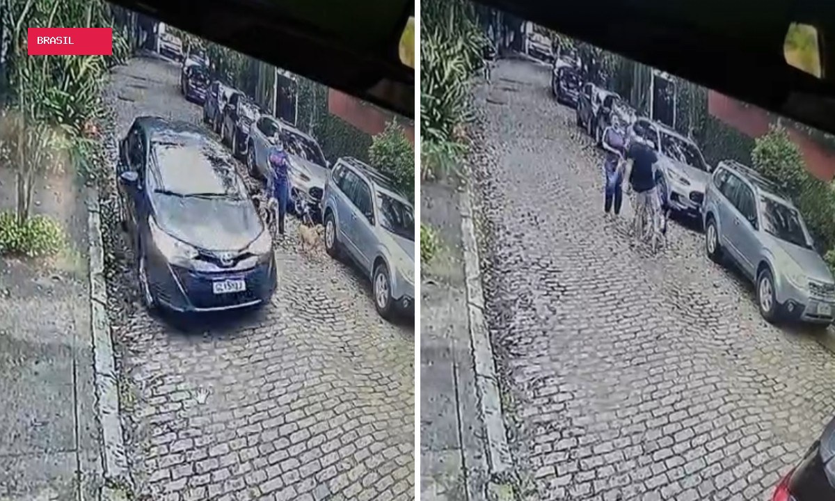Homem é preso após agredir médica e chutar cachorras na Gávea; VÍDEO