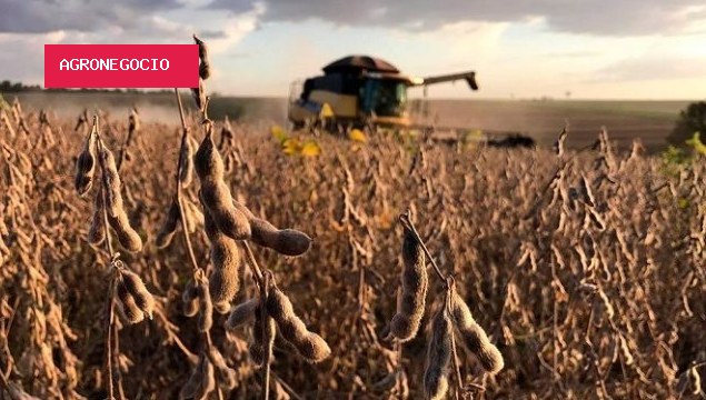 Com compras da China e alta do petróleo, soja alcança maior patamar em três anos em Chicago