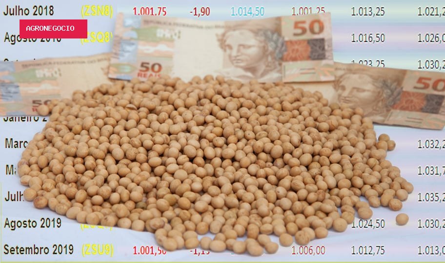 Fortes altas são registradas no mercado de soja; confira as cotações