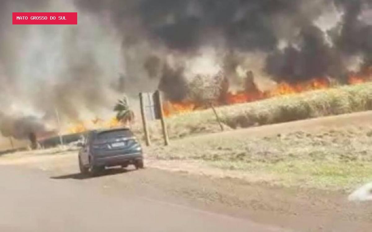 PF mira grilagem e incêndio de R$ 140 milhões no Pantanal de MS