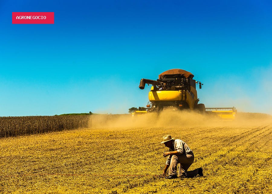 Pesquisa com 4,5 mil profissionais revela principais riscos éticos do agronegócio