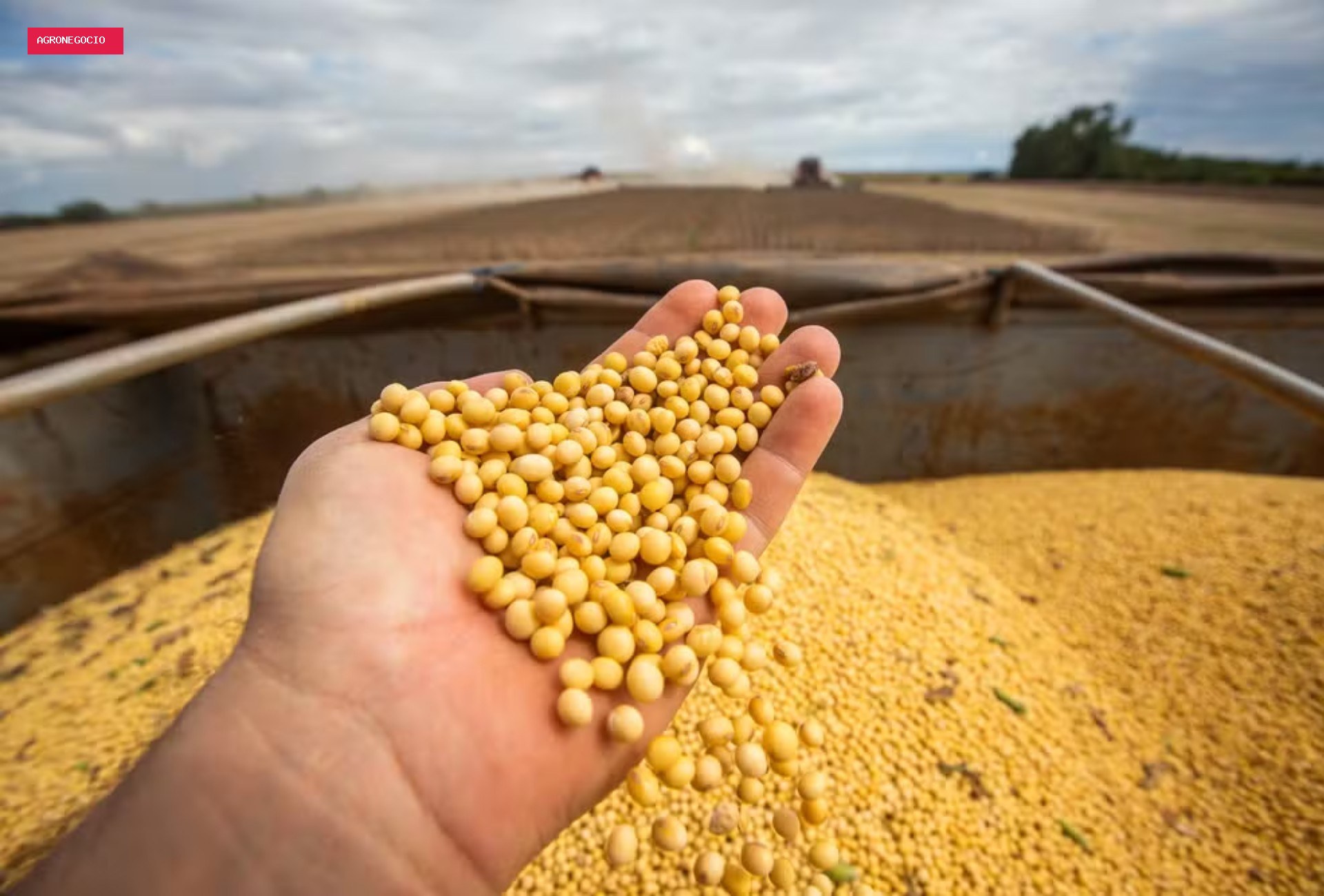PIB do Brasil cresce 0,5% no 2º trimestre de 2026, puxado pela agropecuária, diz IBGE