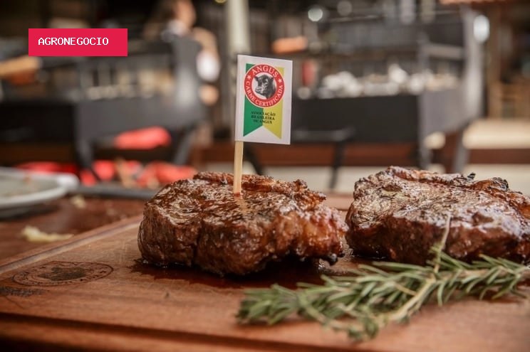 Exportações de carne angus certificada crescem 32% nos primeiros sete meses de 2026