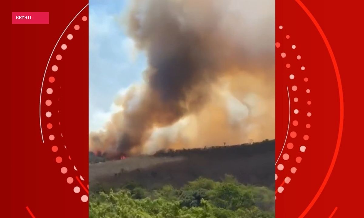Incêndio de grandes proporções atinge área de vegetação na Bahia