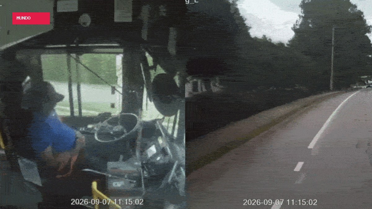 Motorista de ônibus dorme ao volante e bate em árvores nos EUA