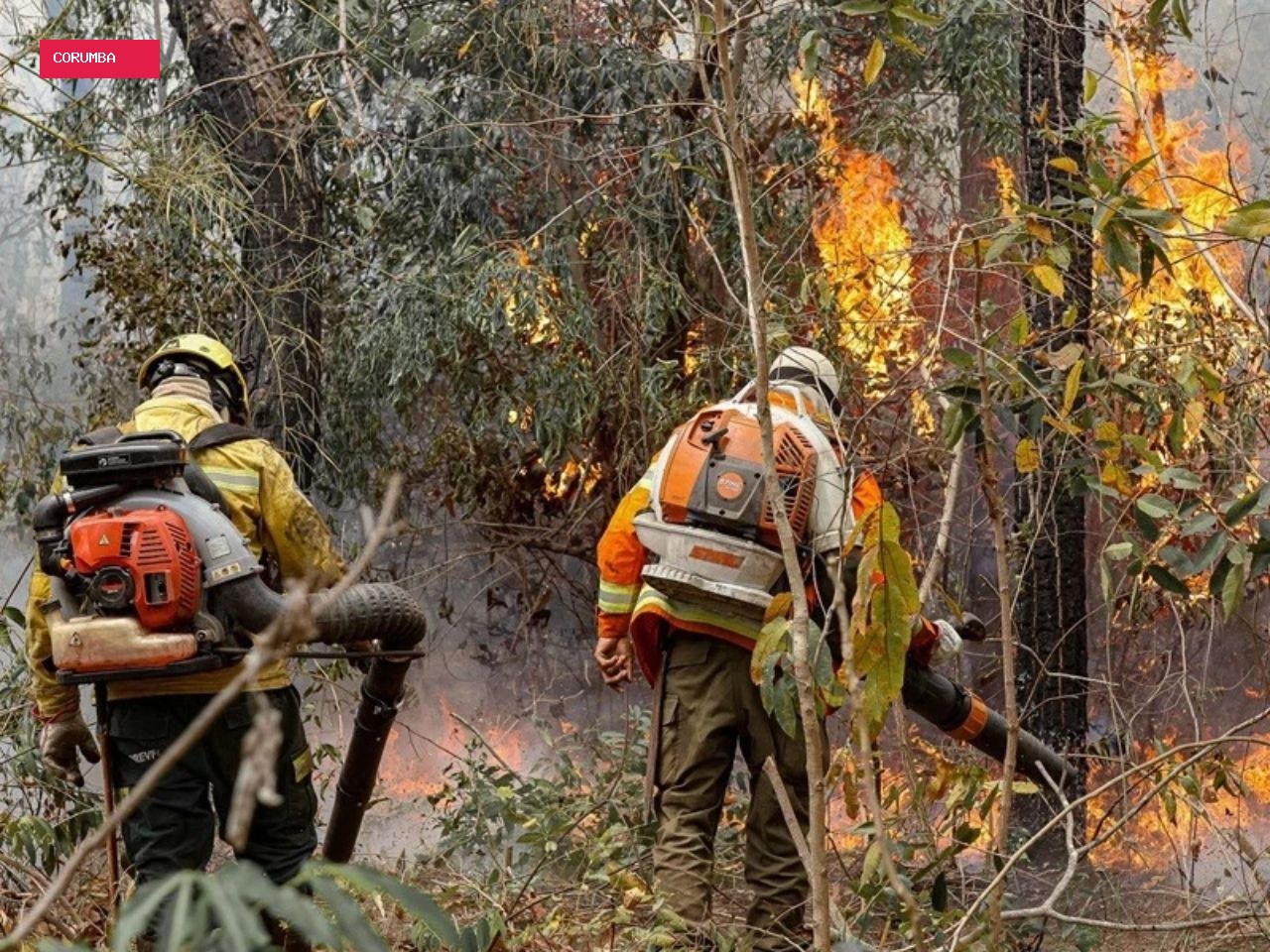 Cooperação inédita entre brigadistas do Brasil e da Bolívia abre novas rotas para proteger o Pantanal e o