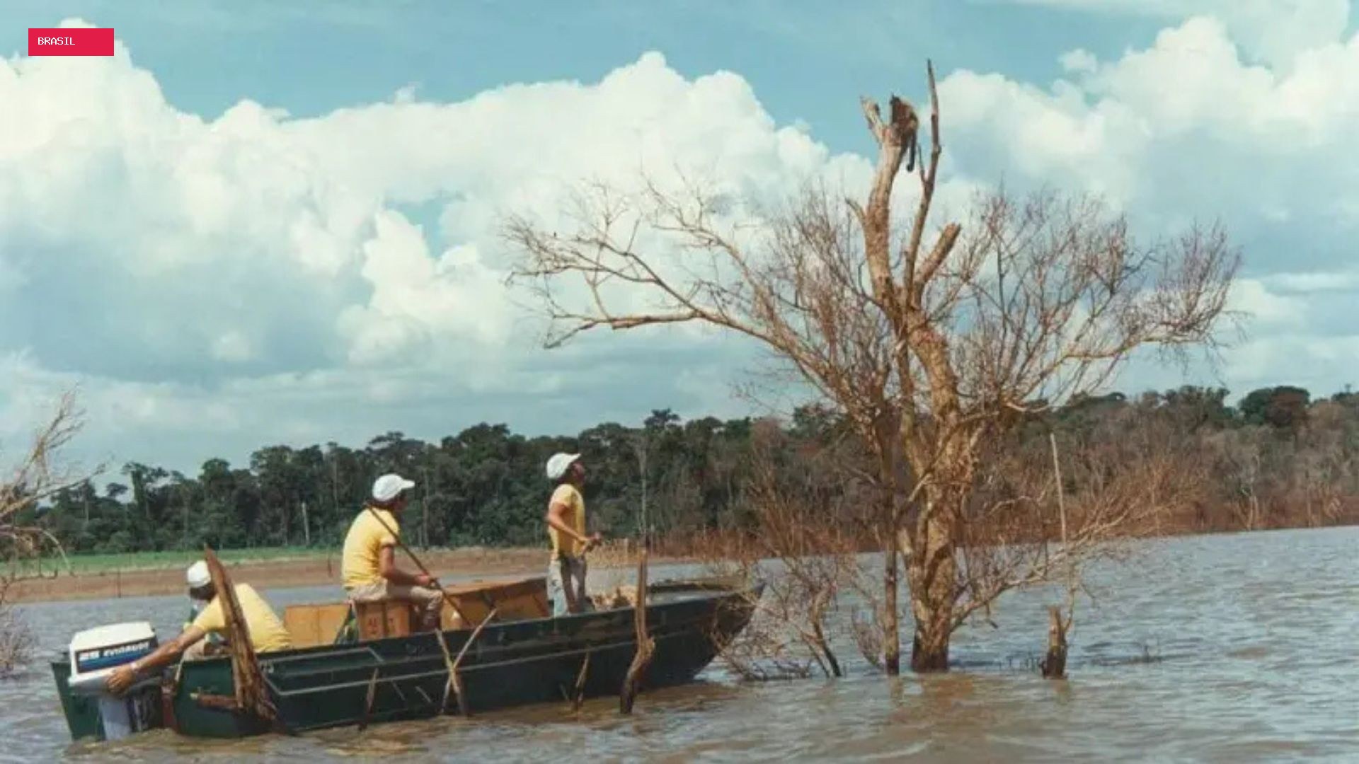 Mymba Kuéra: como foi o monumental resgate de mais de 30 mil animais durante a construção de Itaipu, entre