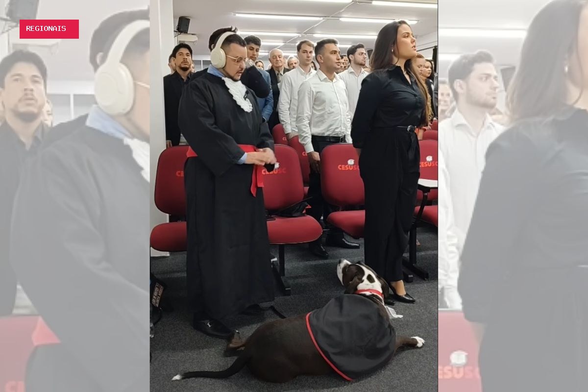 Cão de assistência acompanha advogado autista em colação de grau