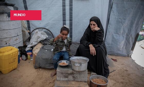 Após conflito em Gaza, mulheres são obrigadas a assumir sustento do lar