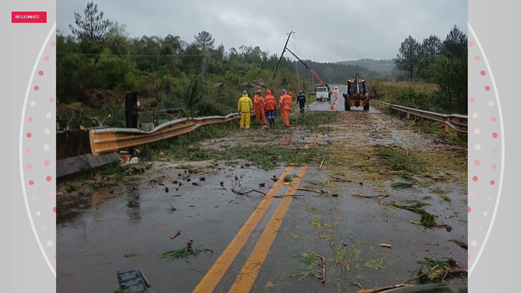 Vendaval faz árvore cair em cima de caminhonete que viajava por rodovia do Paraná