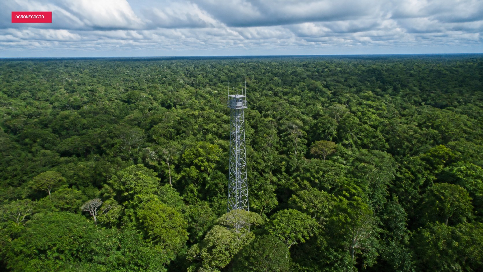 Projeto em Roraima usa mercado de carbono para manter floresta em pé