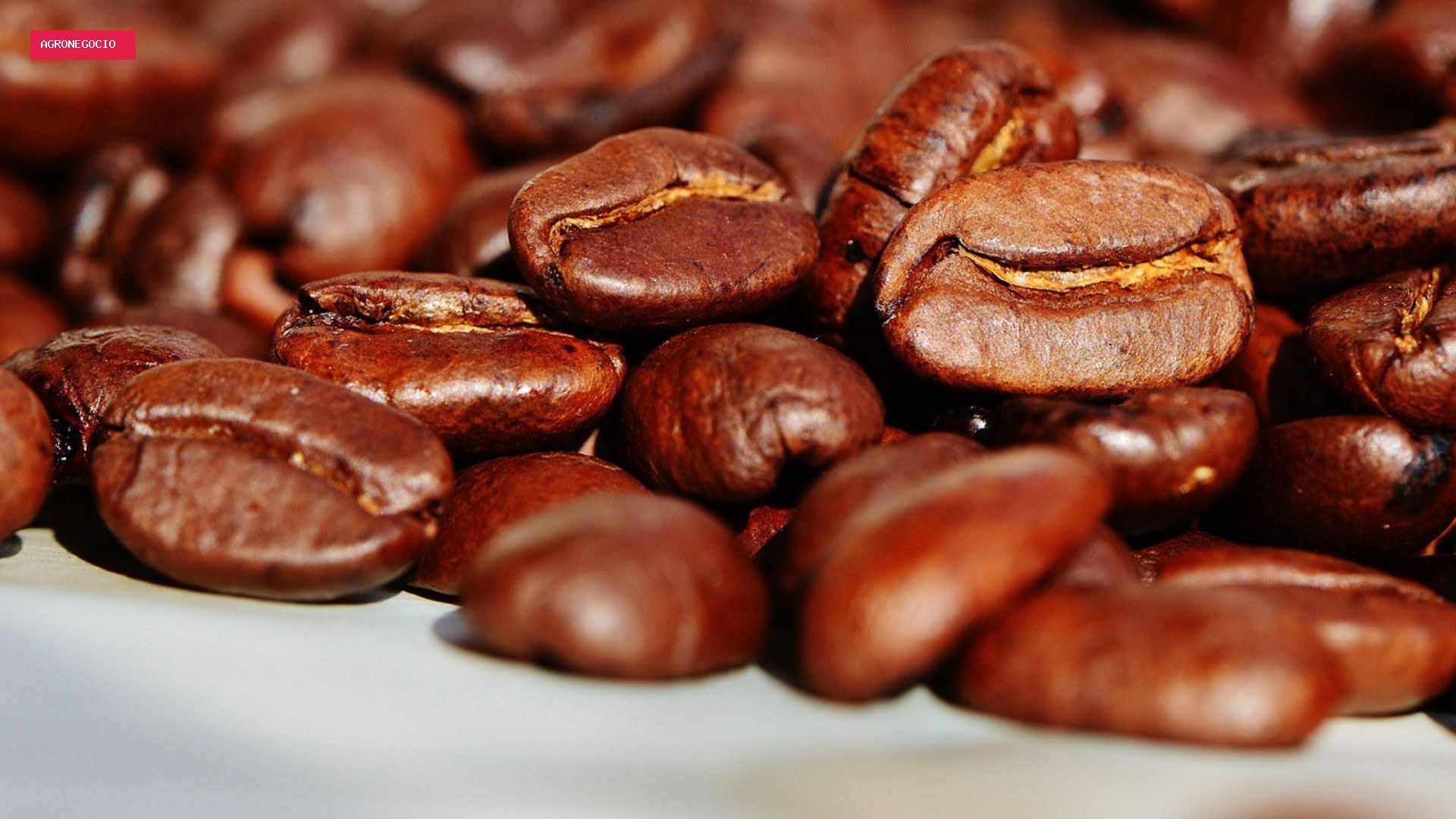 Exportação de café do Brasil registra melhor agosto da história