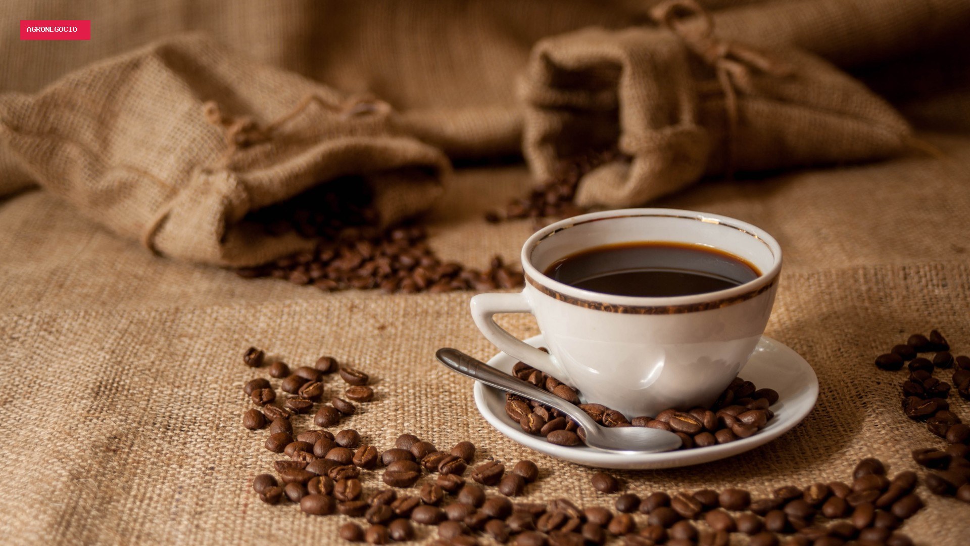 Por que a cafeína deixa algumas pessoas em alerta e outras não sentem nada?
