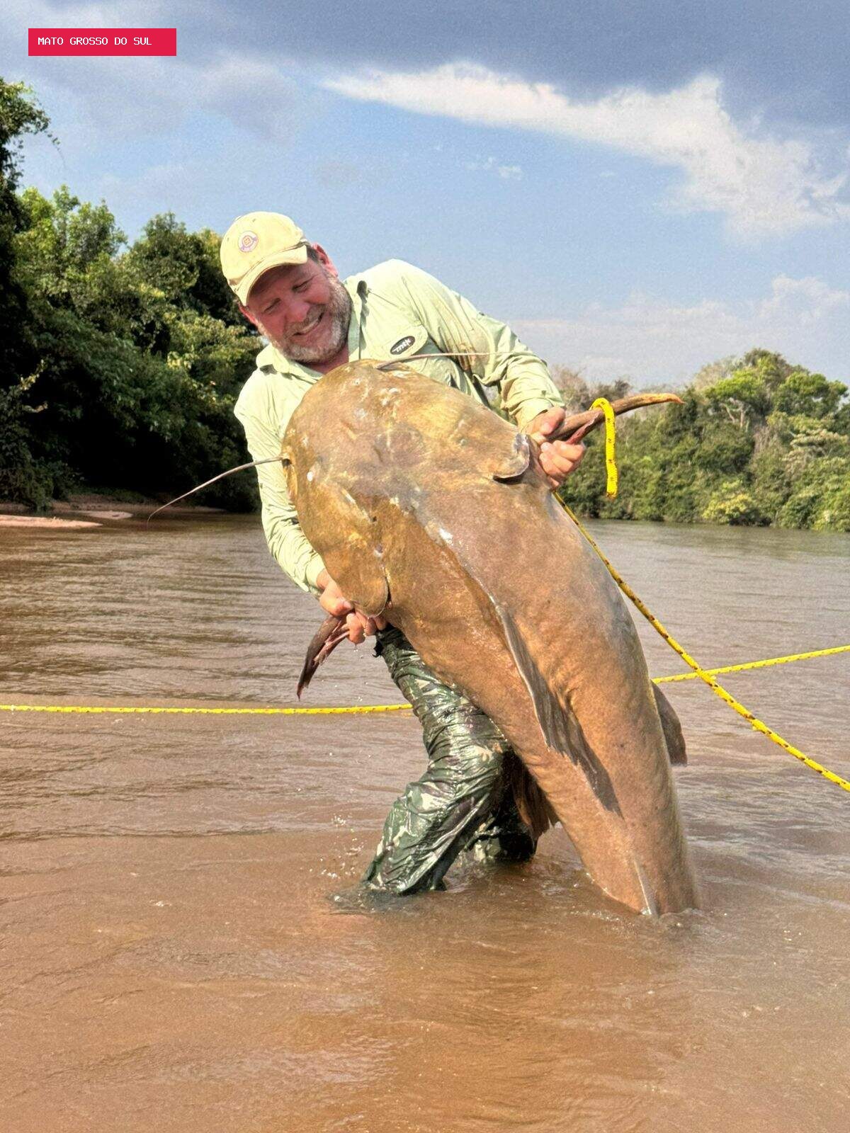 Jaú de 1,74 metro e 80 quilos vira "troféu" de pescaria no Rio Taquari