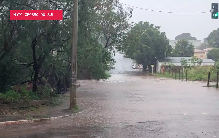 El Niño pode ser o mais forte desde 1950 e elevar chuvas em MS