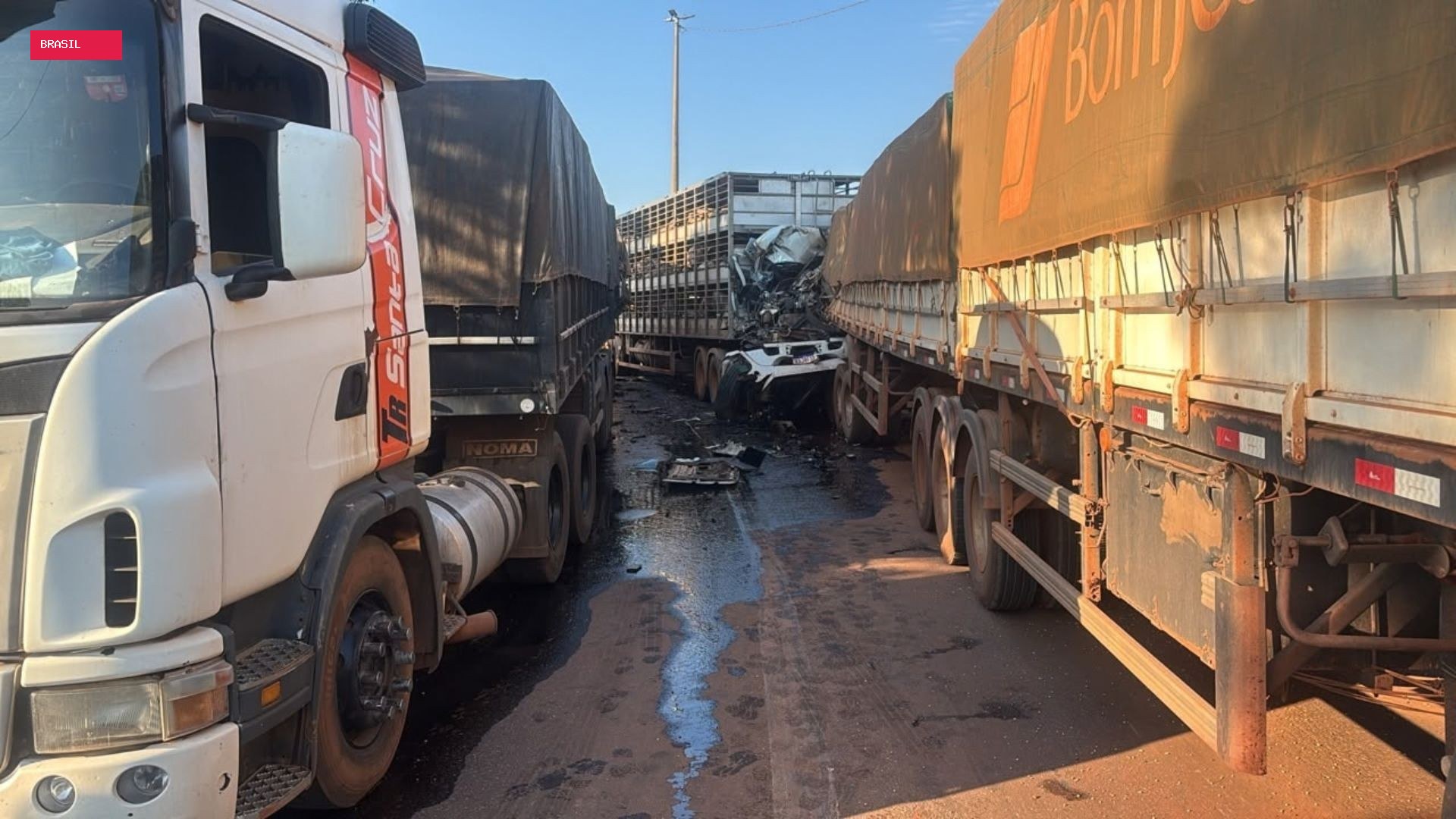 Motorista morre após carreta que transportava porcos bater em caminhão parado em MT
