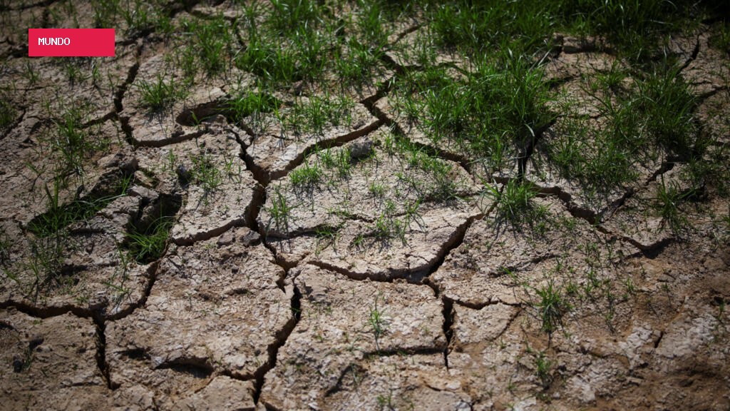 Mundo caminha para superar limite de 1,5°C, mas aquecimento ainda pode ser reduzido, diz ONU