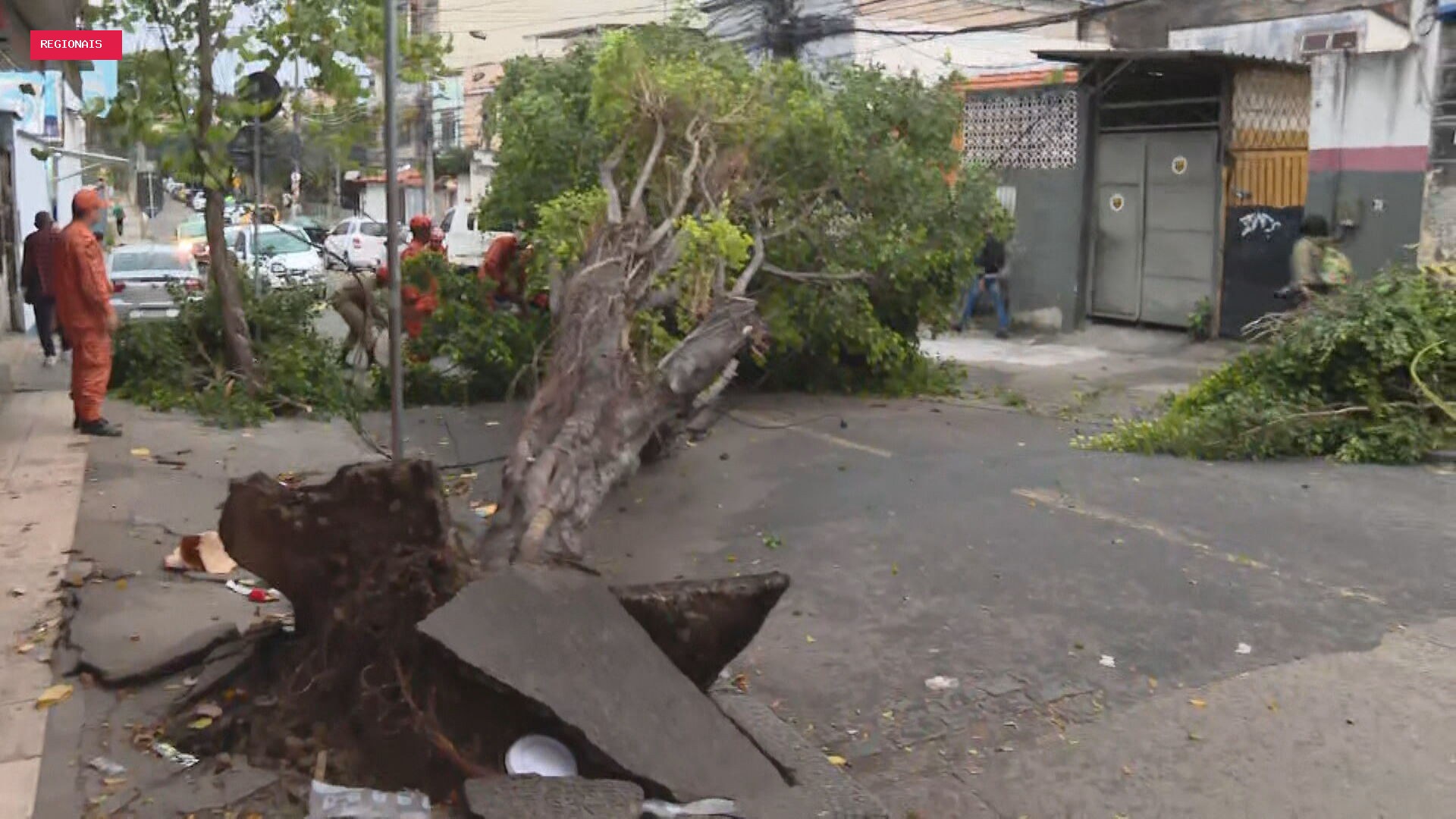Frente fria provoca ventania de até 71 km/h, e Defesa Civil emite alerta no Rio