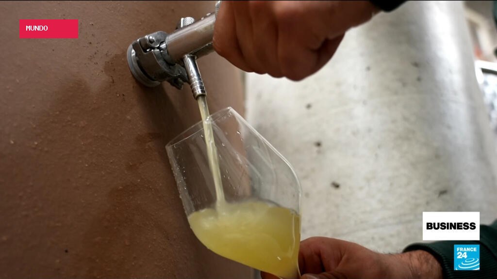 Record heat and drought make this year's champagne stronger