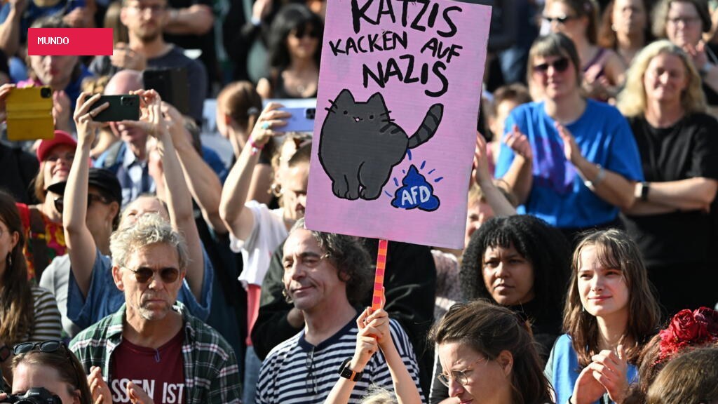 Tens of thousands protest against far-right AfD party in Germany