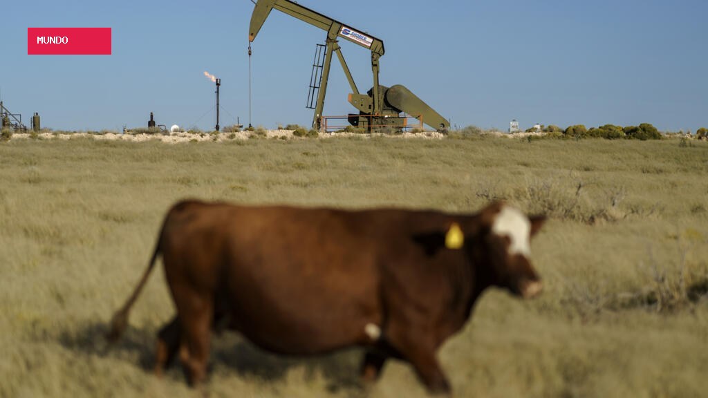 Trump prepara novo recuo dos EUA na luta contra as mudanças climáticas