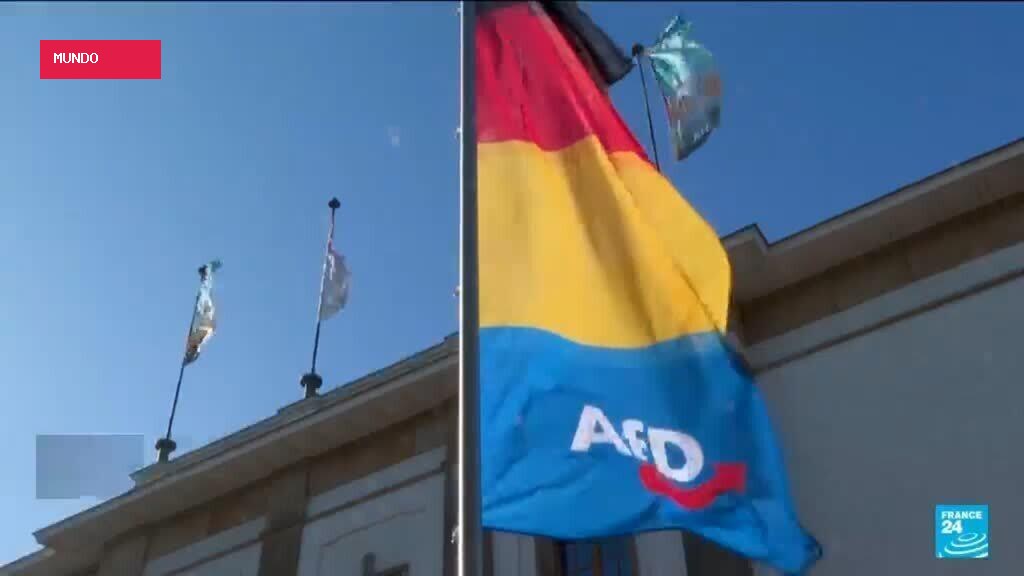 Segregated schools and citizen ‘watch groups’: the AfD’s plans for Saxony-Anhalt