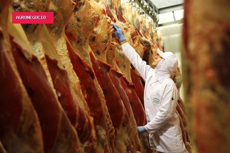 Exportação de carne bovina despenca em agosto, mas preço médio dispara