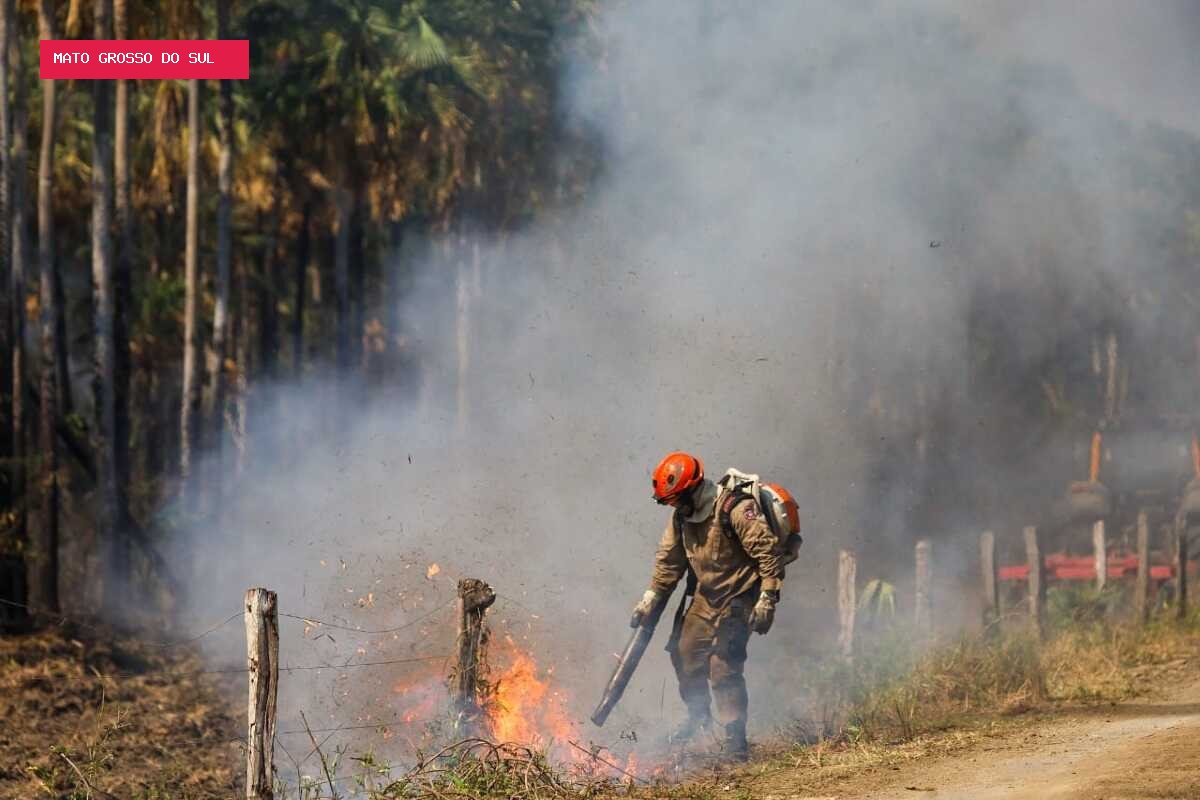 MPMS investiga fogo que queimou quase 800 hectares no Pantanal de MS