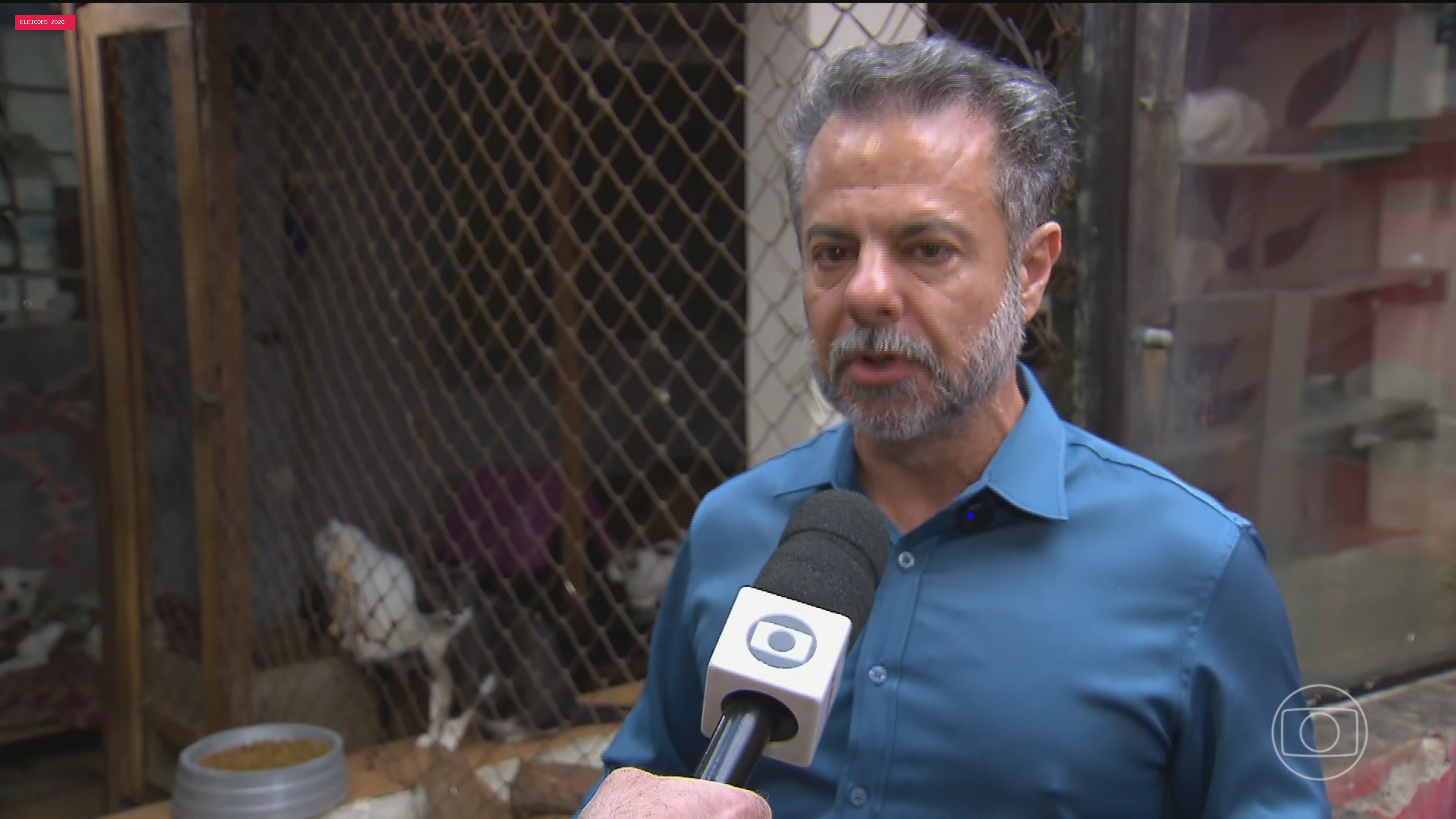 Toffoli libera campanha digital do Wilson Grassi, candidato à Presidência da República