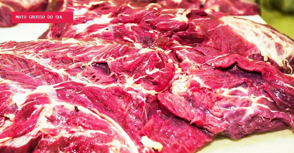 Brasil avalia reciprocidade contra UE após restrição a carnes e outros produtos