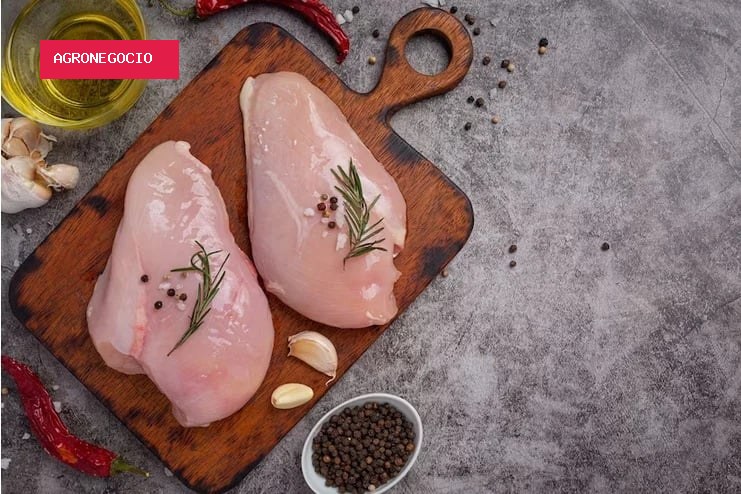 Preço do frango supera carne suína pela primeira vez em 22 anos, aponta Cepea