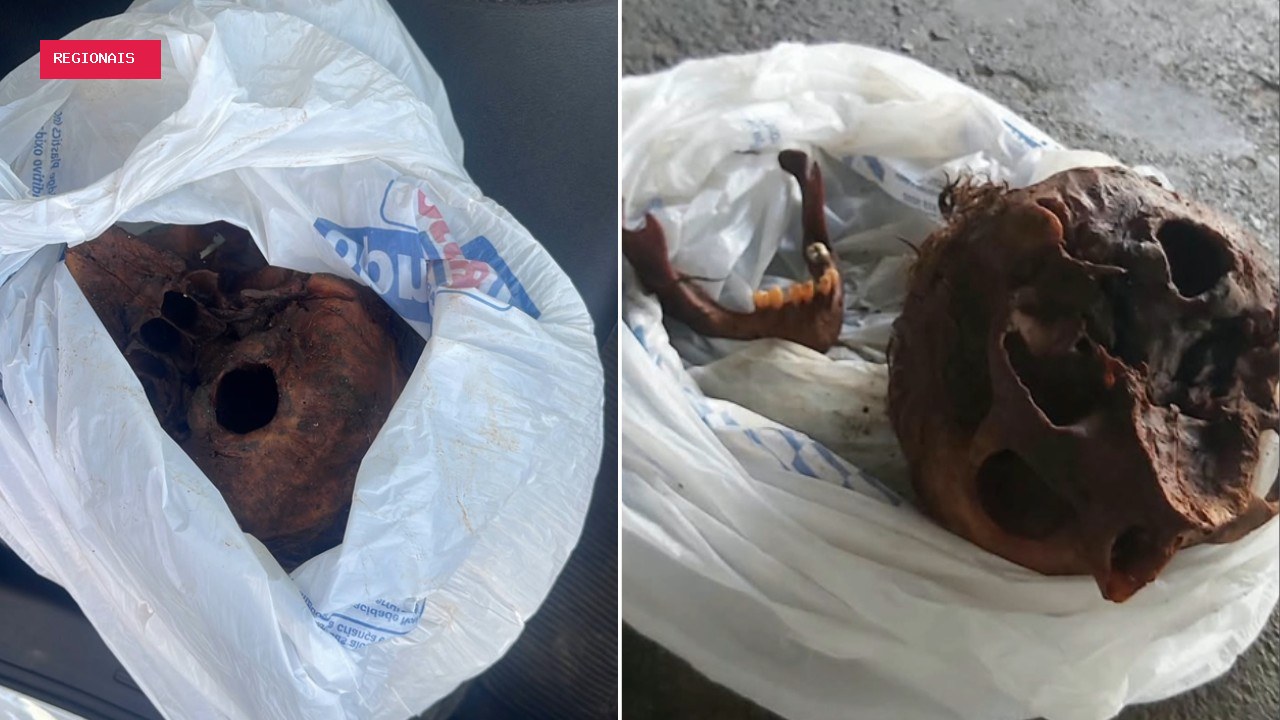Duas pessoas são detidas após crânio humano ser retirado de cemitério na Grande BH