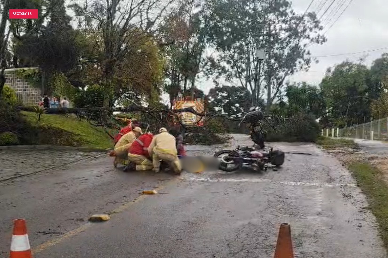 Motociclista fica gravemente ferido após passar por área isolada e ser atingido por árvore em Curitiba