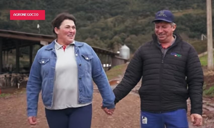 Após investir na suinocultura para manter filhos no campo, casal amplia renda criando milhares de leitões